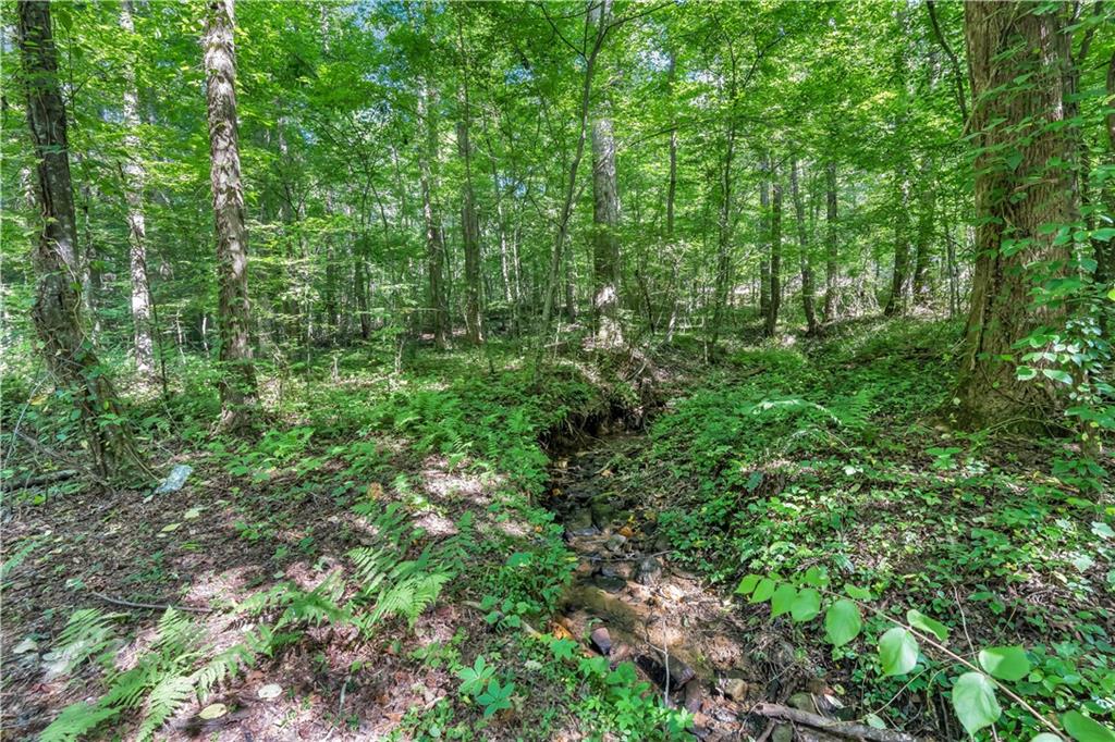 414 Twin Mountain Lake Circle