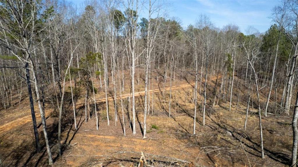 Louden Ridge Road, Alto, Georgia image 12