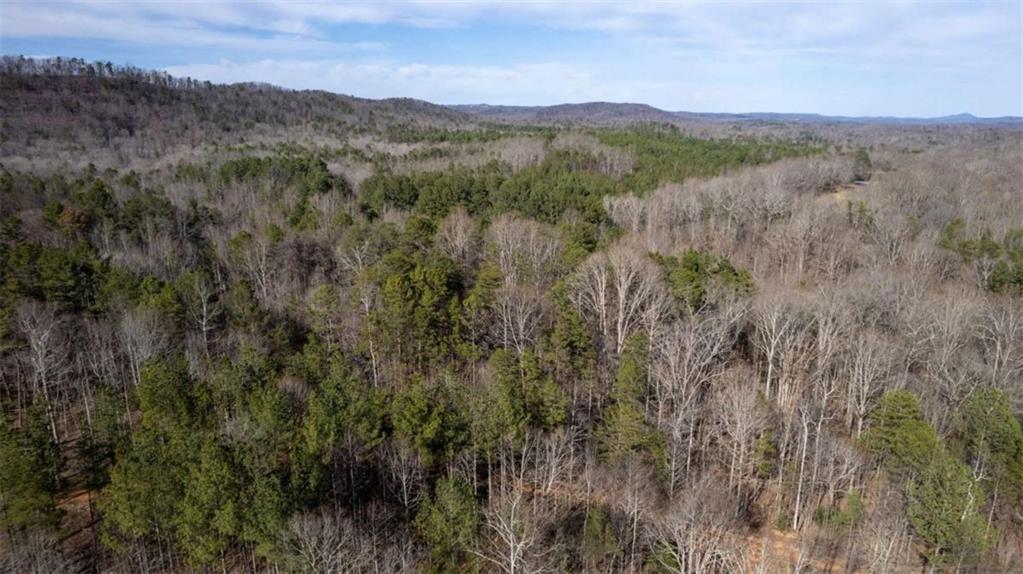 Louden Ridge Road, Alto, Georgia image 29