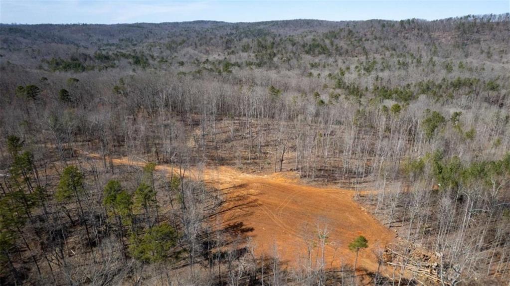 Louden Ridge Road, Alto, Georgia image 17