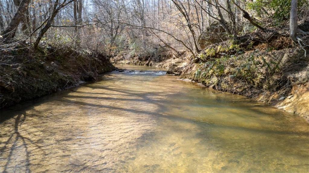 Louden Ridge Road, Alto, Georgia image 20