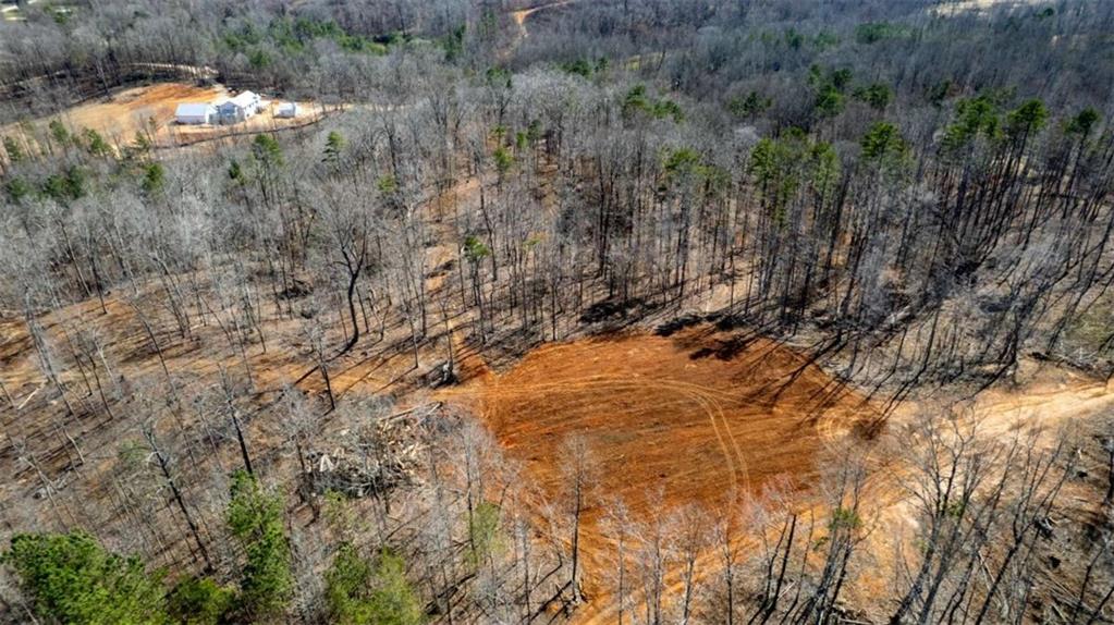 Louden Ridge Road, Alto, Georgia image 10