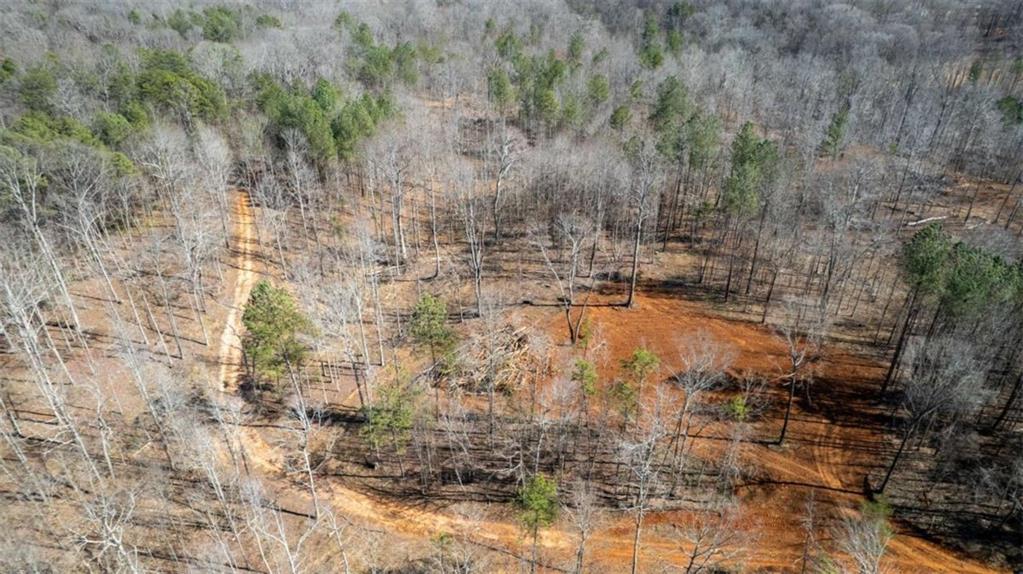Louden Ridge Road, Alto, Georgia image 7