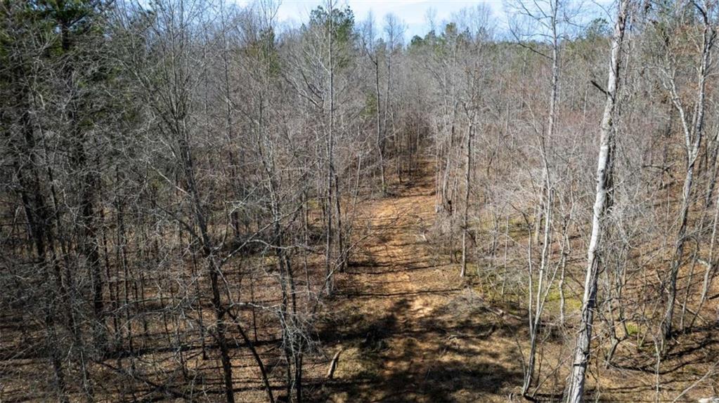 Louden Ridge Road, Alto, Georgia image 19
