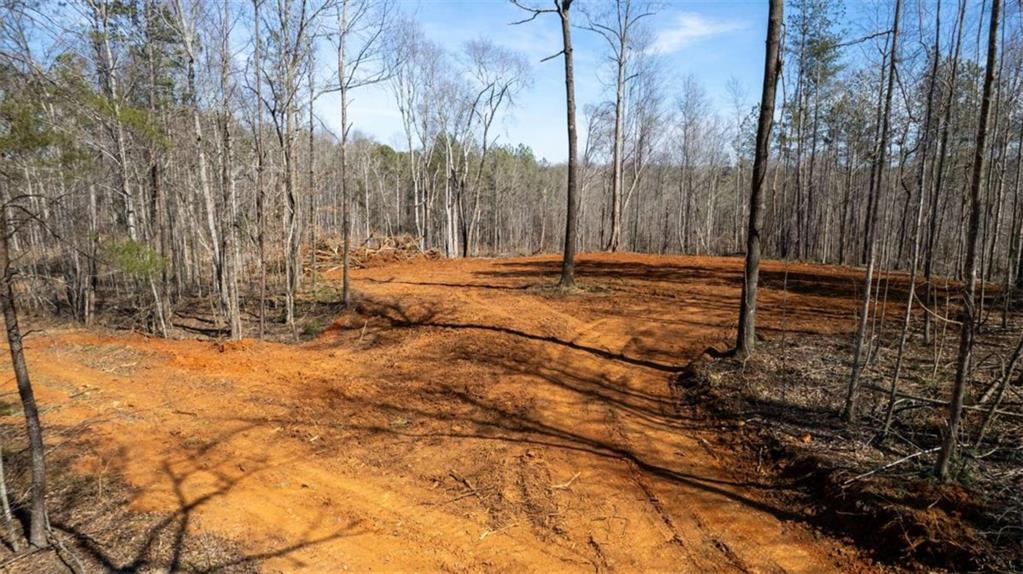 Louden Ridge Road, Alto, Georgia image 8