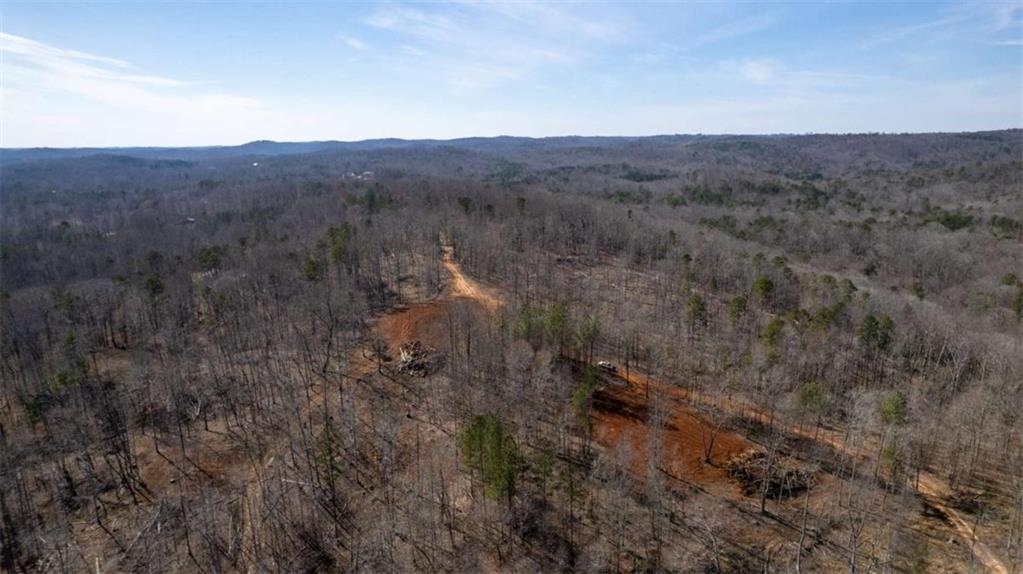 Louden Ridge Road, Alto, Georgia image 28