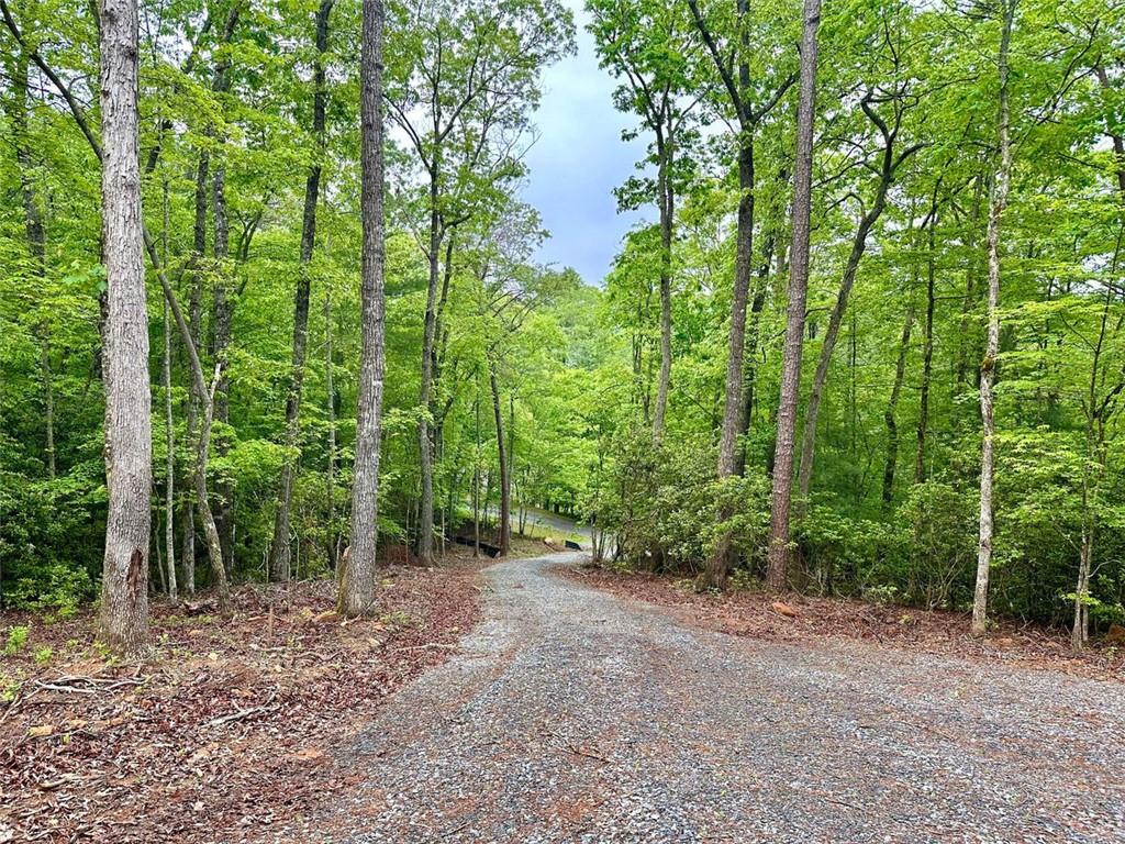 Possum Poke Road, Ellijay, Georgia image 5