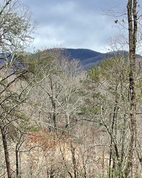 Possum Poke Road, Ellijay, Georgia image 15