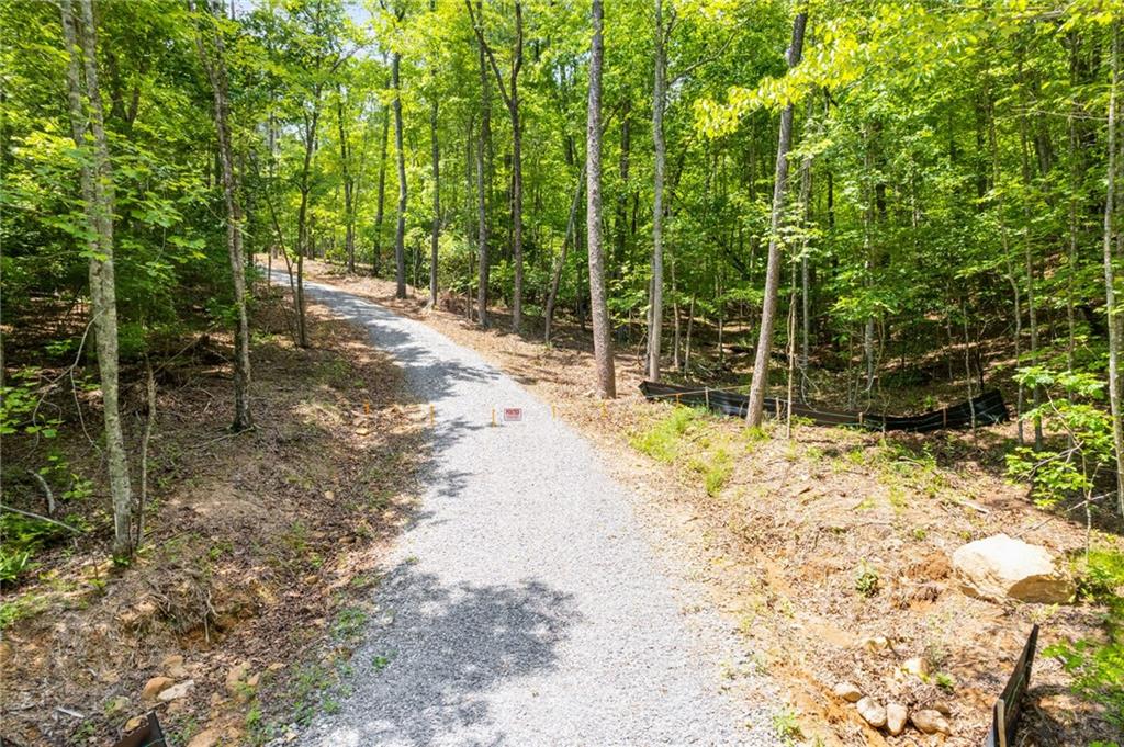 Possum Poke Road, Ellijay, Georgia image 9