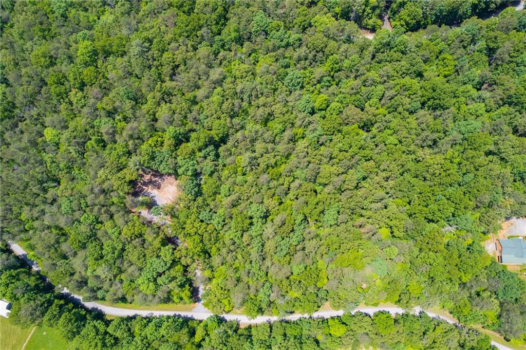 Possum Poke Road, Ellijay, Georgia image 18