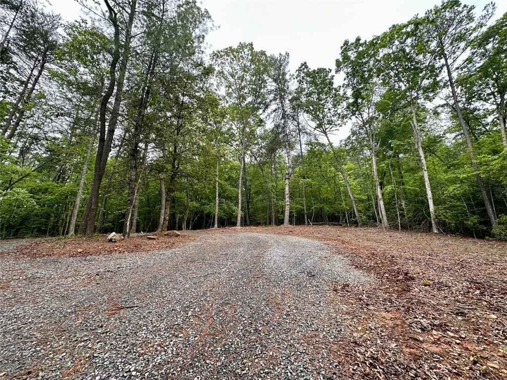 Possum Poke Road, Ellijay, Georgia image 39