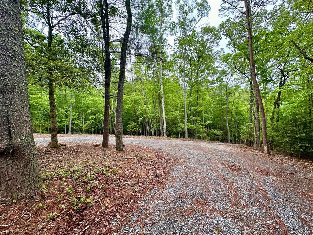 Possum Poke Road, Ellijay, Georgia image 44