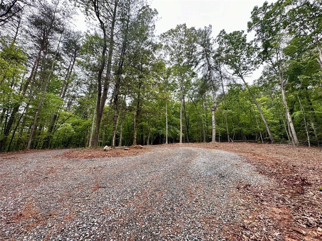 Possum Poke Road, Ellijay, Georgia image 37