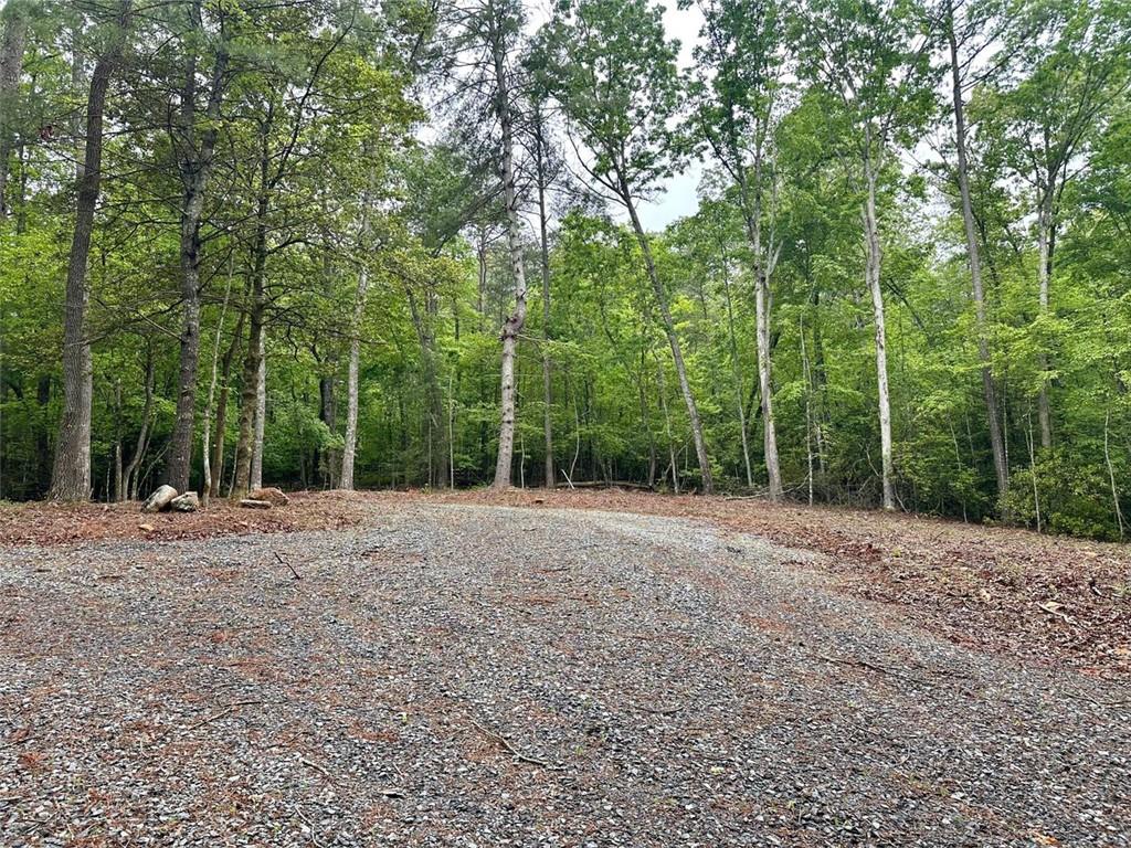 Possum Poke Road, Ellijay, Georgia image 38