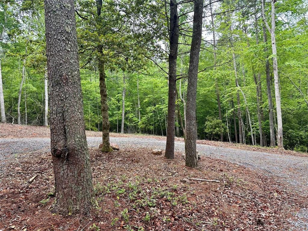 Possum Poke Road, Ellijay, Georgia image 43