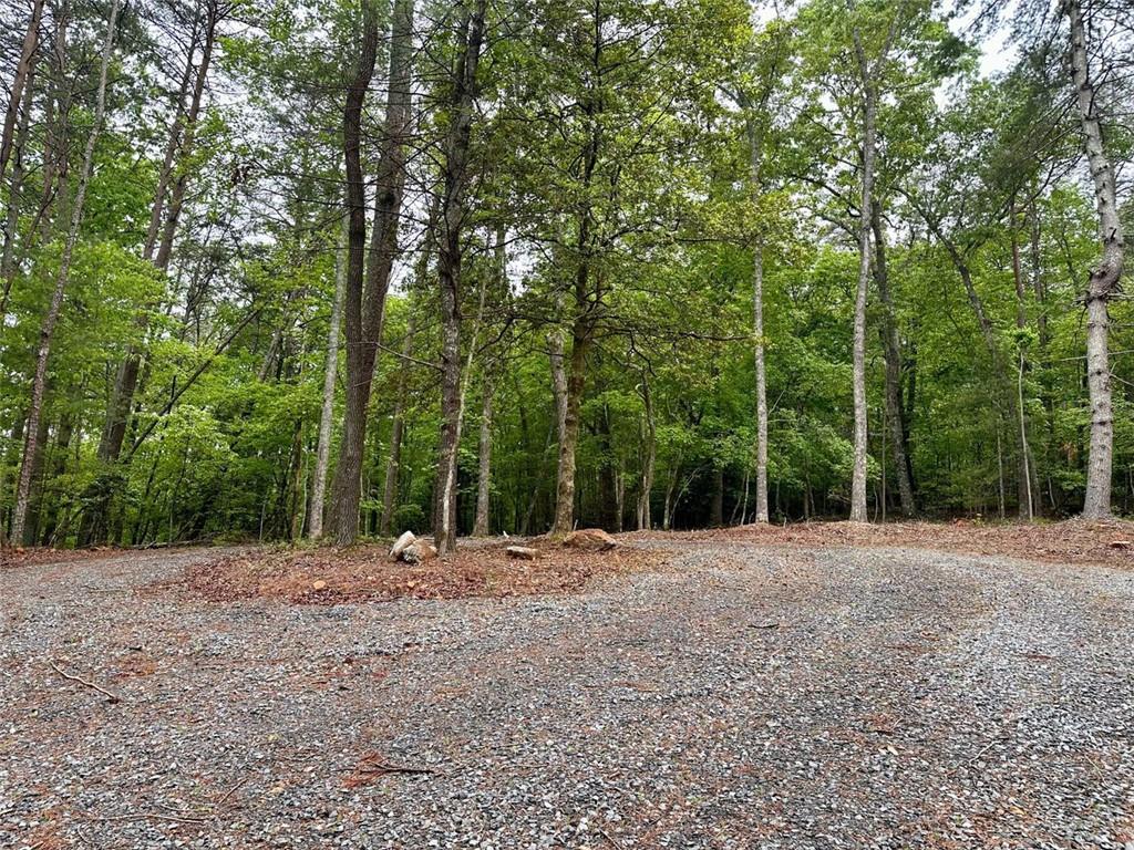 Possum Poke Road, Ellijay, Georgia image 45