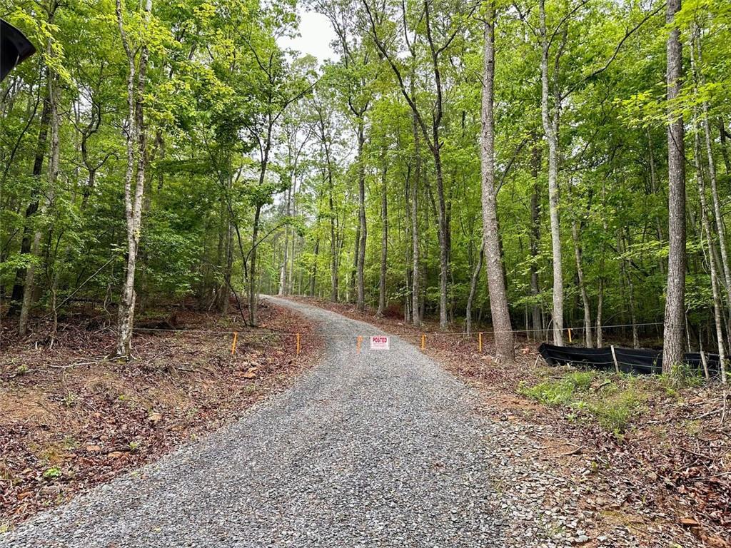 Possum Poke Road, Ellijay, Georgia image 6