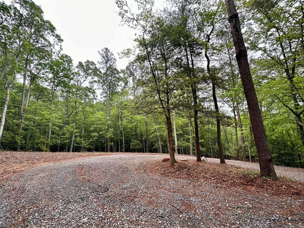 Possum Poke Road, Ellijay, Georgia image 36