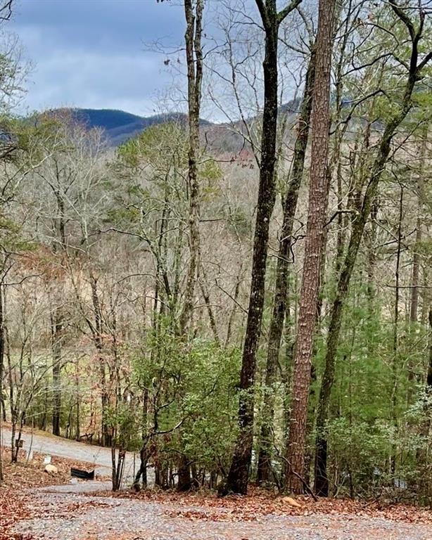 Possum Poke Road, Ellijay, Georgia image 3