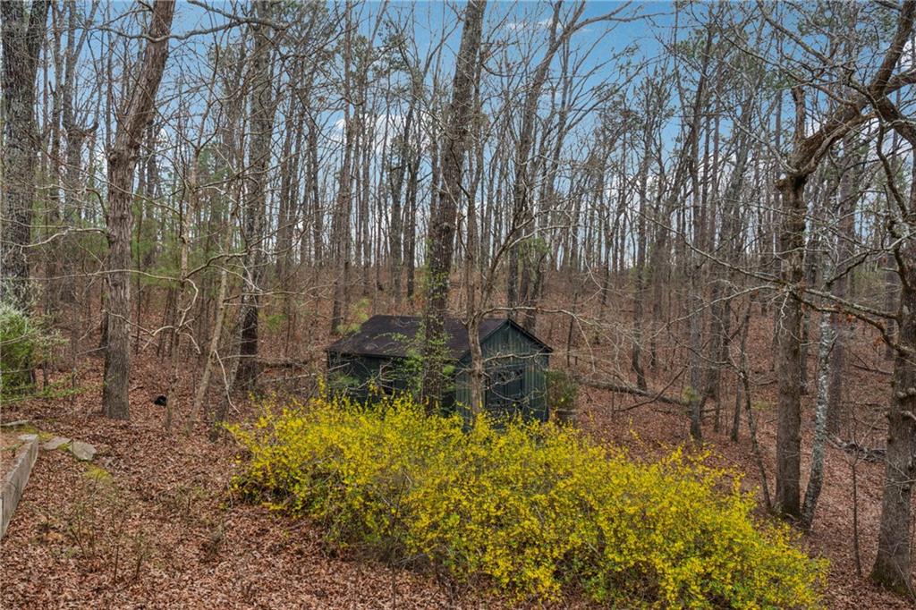 5515 Punkintown Road, Douglasville, Georgia image 39