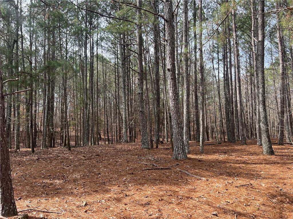 325 Everett Springs Road, Calhoun, Georgia image 1