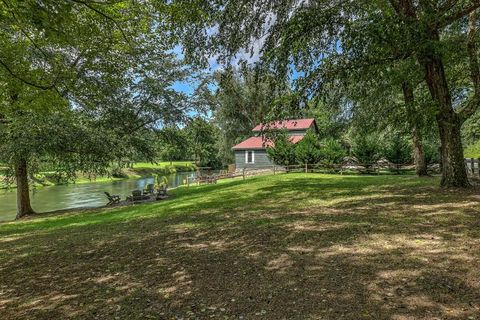 A home in Mineral Bluff