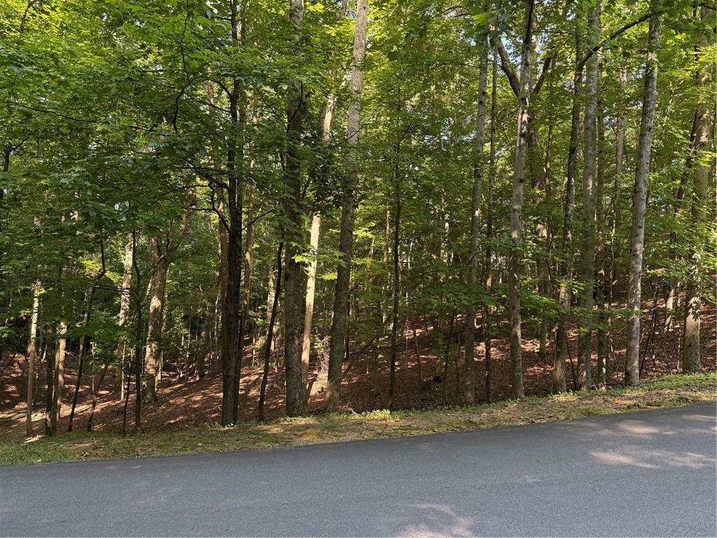 20 Hillside Drive