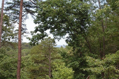 Vacant Land For Sale - 384 Back Pine Way<br/> Ellijay, GA 30540