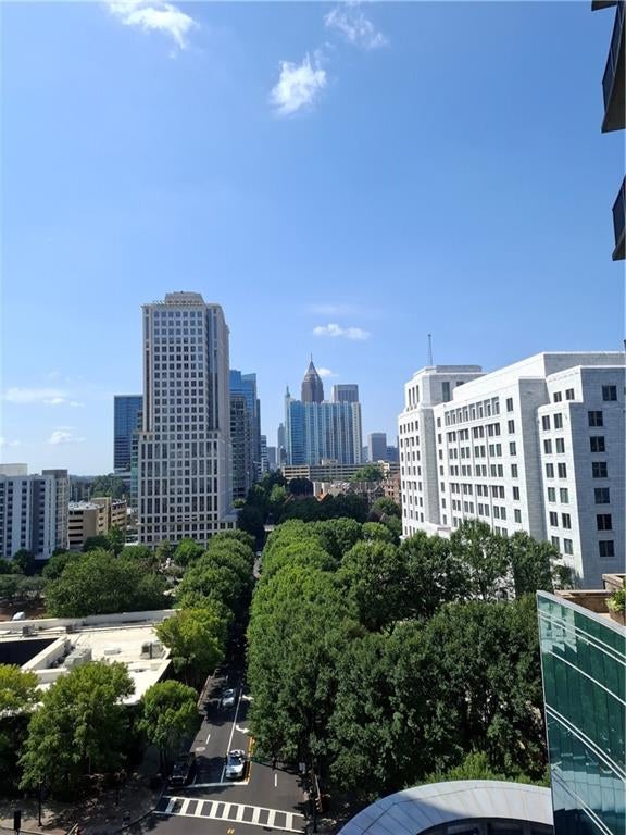 1080 Peachtree Street NE 1009