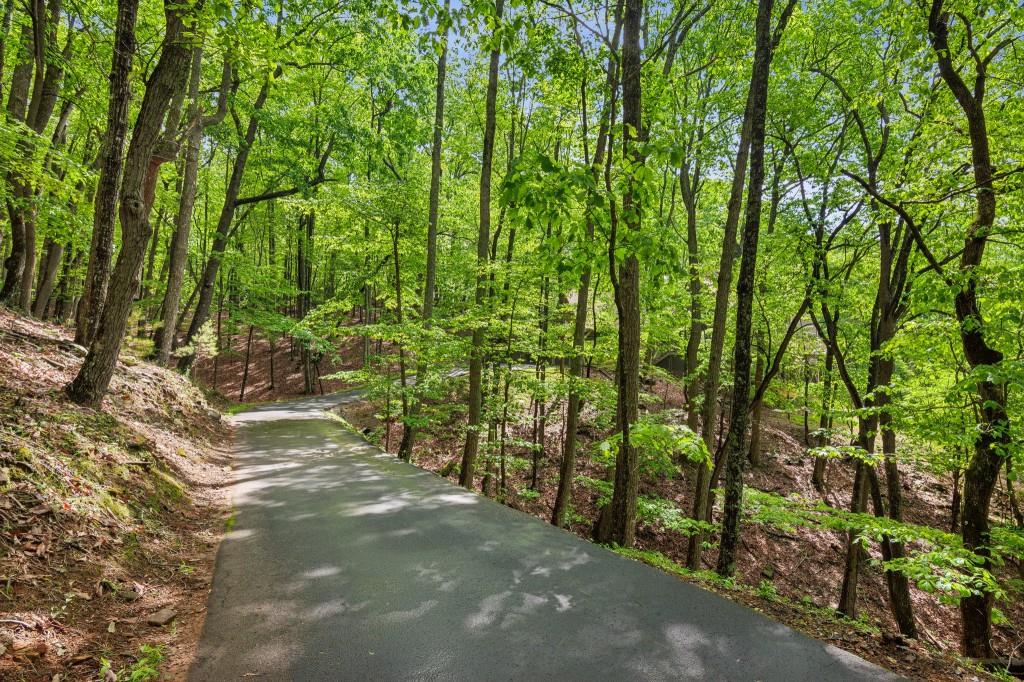 61 Deer Run Ridge, Big Canoe, Georgia image 37