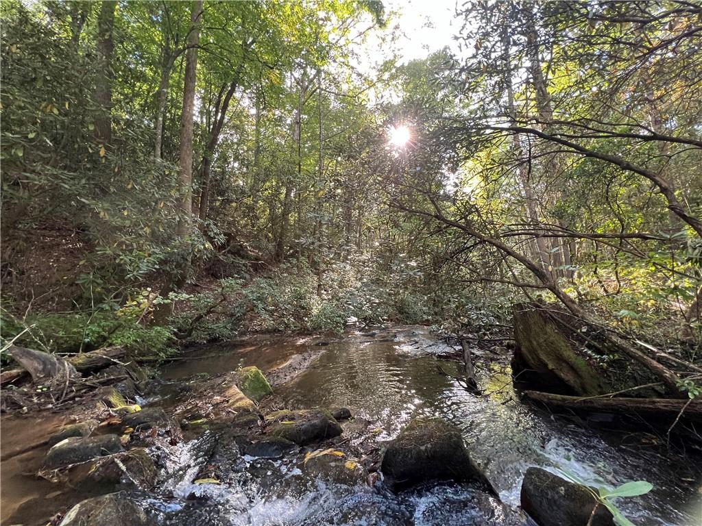 Zion Hill Road, Ellijay, Georgia image 1