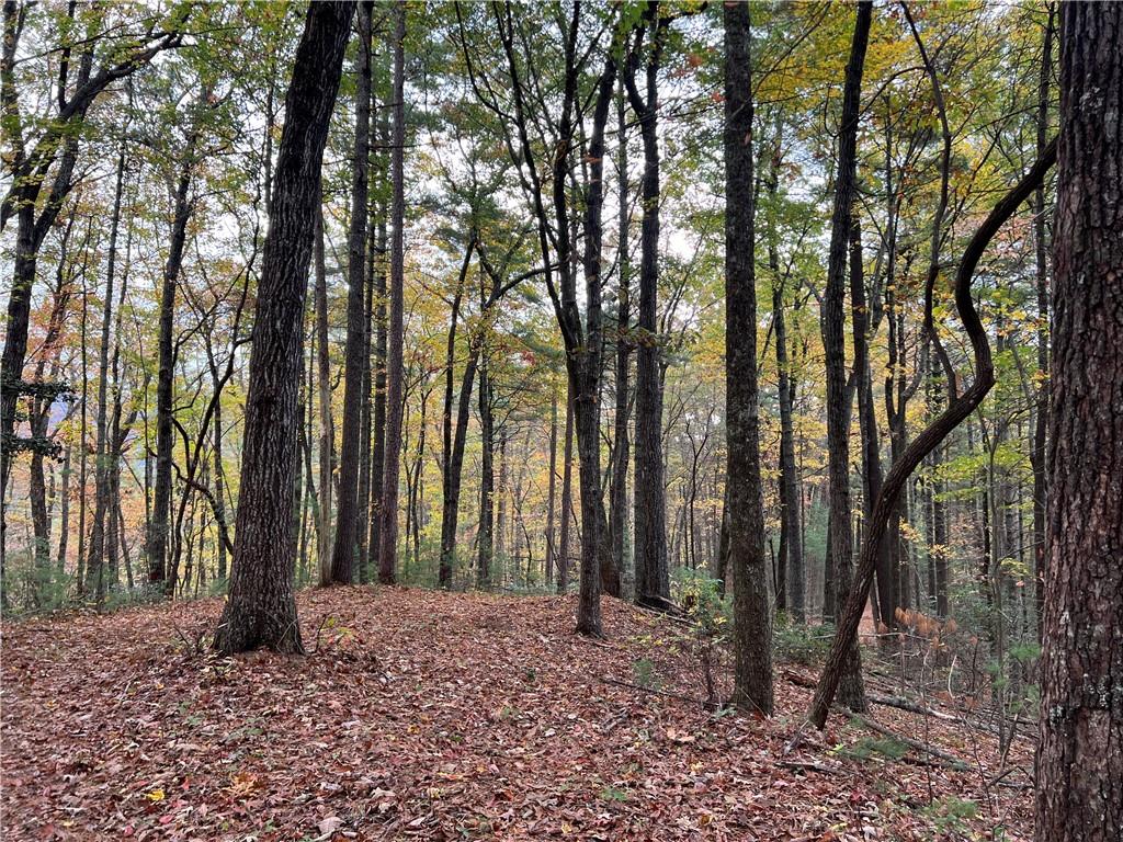 Zion Hill Road, Ellijay, Georgia image 8