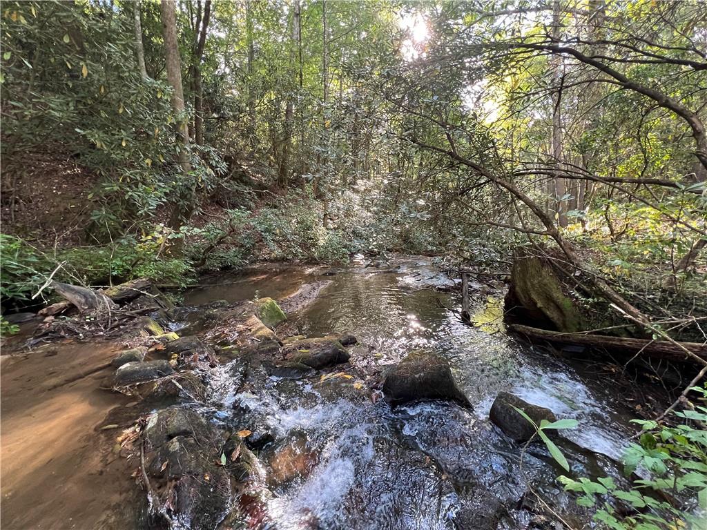 Zion Hill Road, Ellijay, Georgia image 15