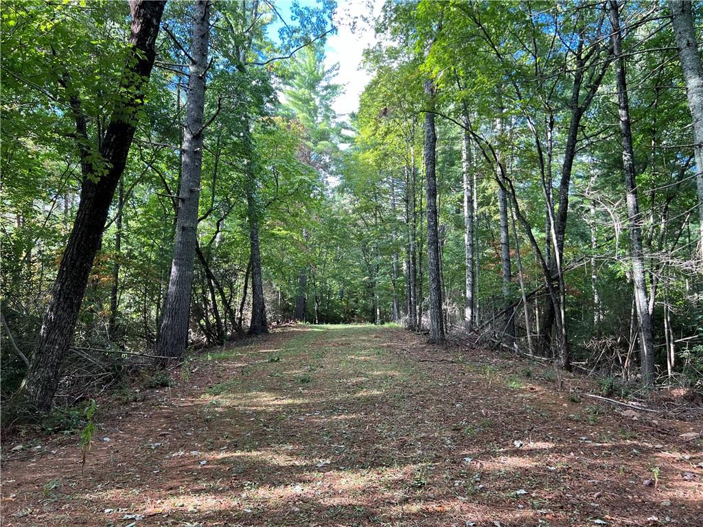 Zion Hill Road, Ellijay, Georgia image 16