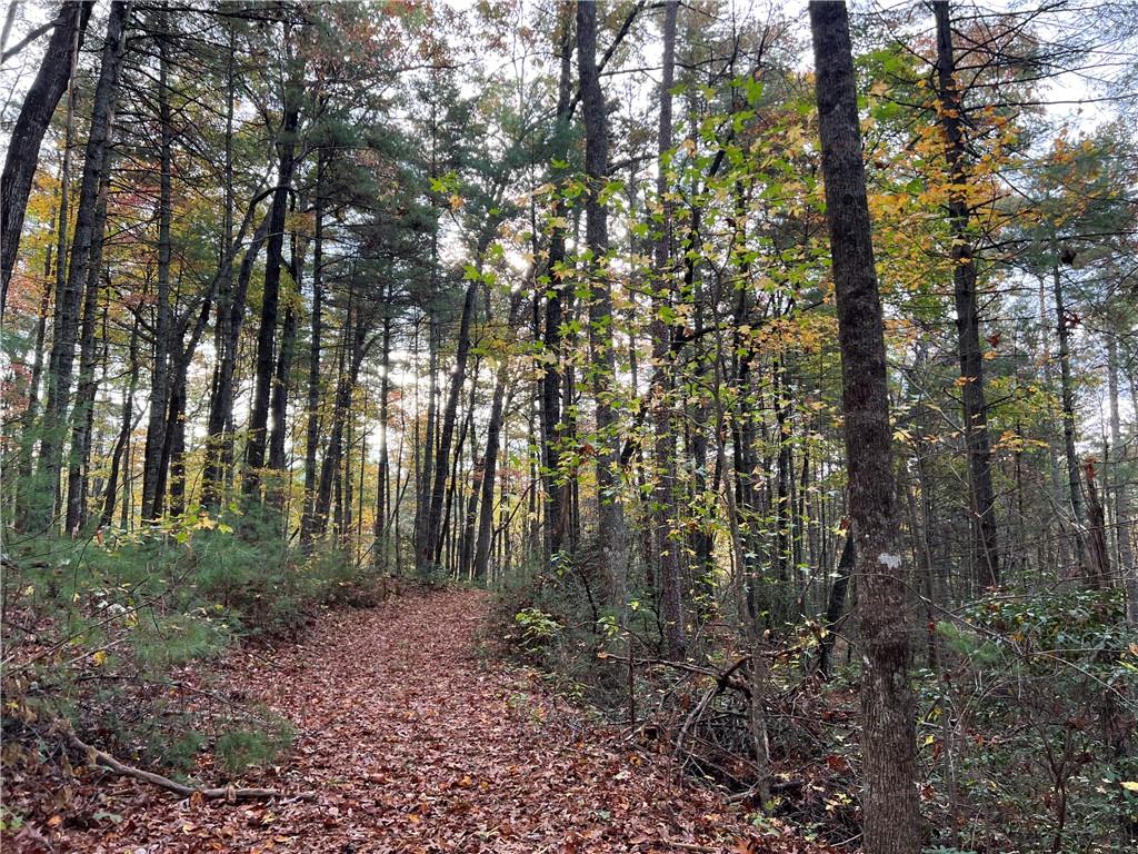 Zion Hill Road, Ellijay, Georgia image 13