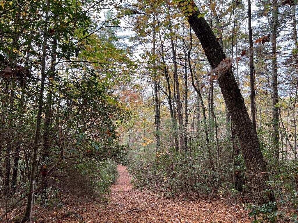 Zion Hill Road, Ellijay, Georgia image 12