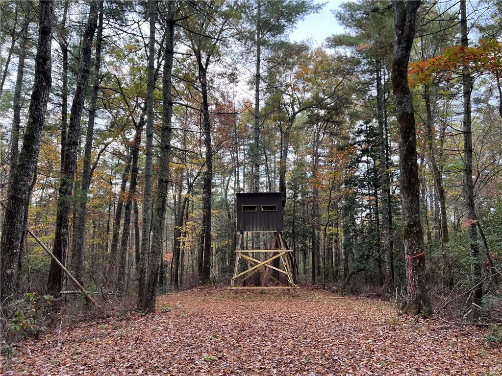 Zion Hill Road, Ellijay, Georgia image 3