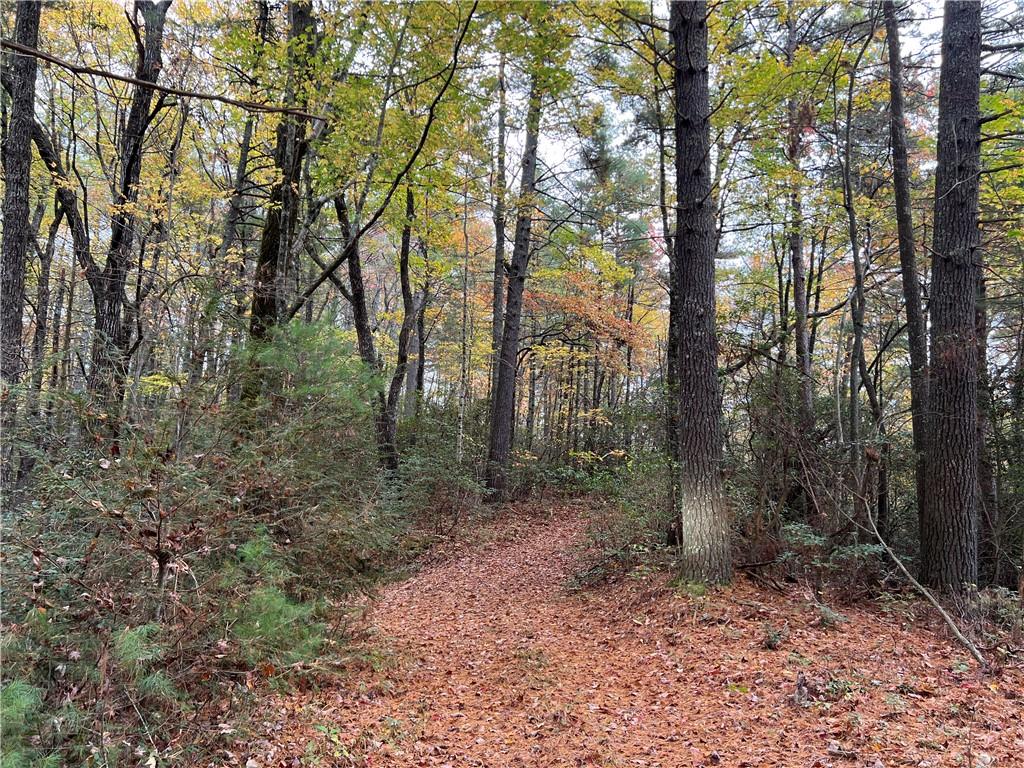 Zion Hill Road, Ellijay, Georgia image 18