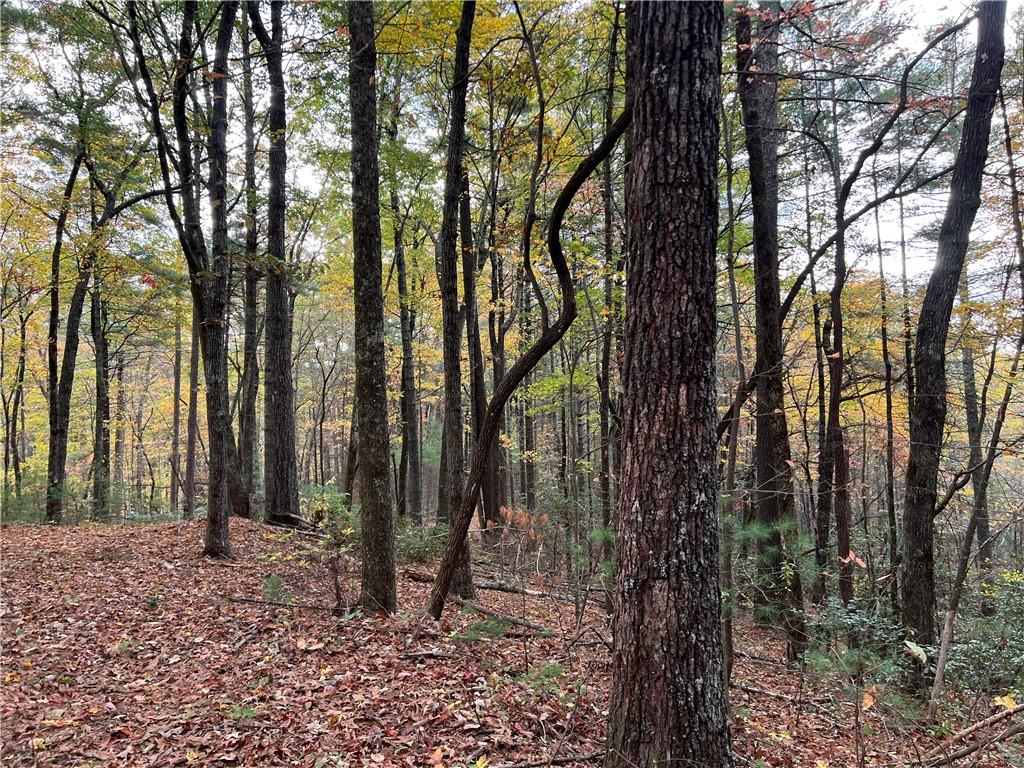 Zion Hill Road, Ellijay, Georgia image 9