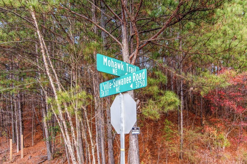 Mohawk, Suwanee, Georgia image 9