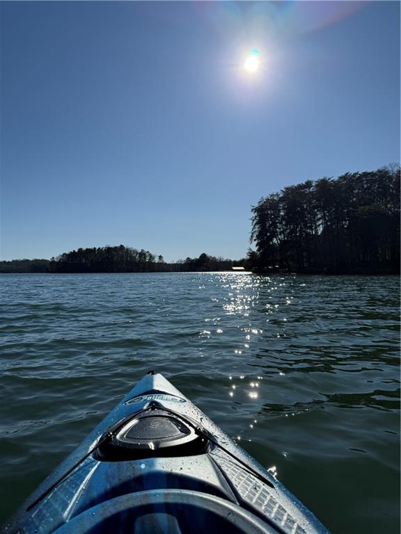 None - Lake Lanier - Residential