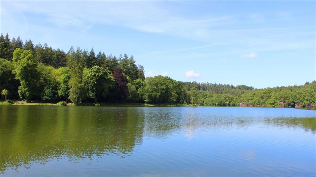 110 Briarcliff Trail