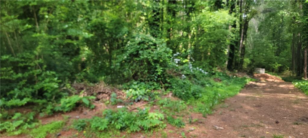 48 Lake Latimer Drive, Kennesaw, Georgia image 10