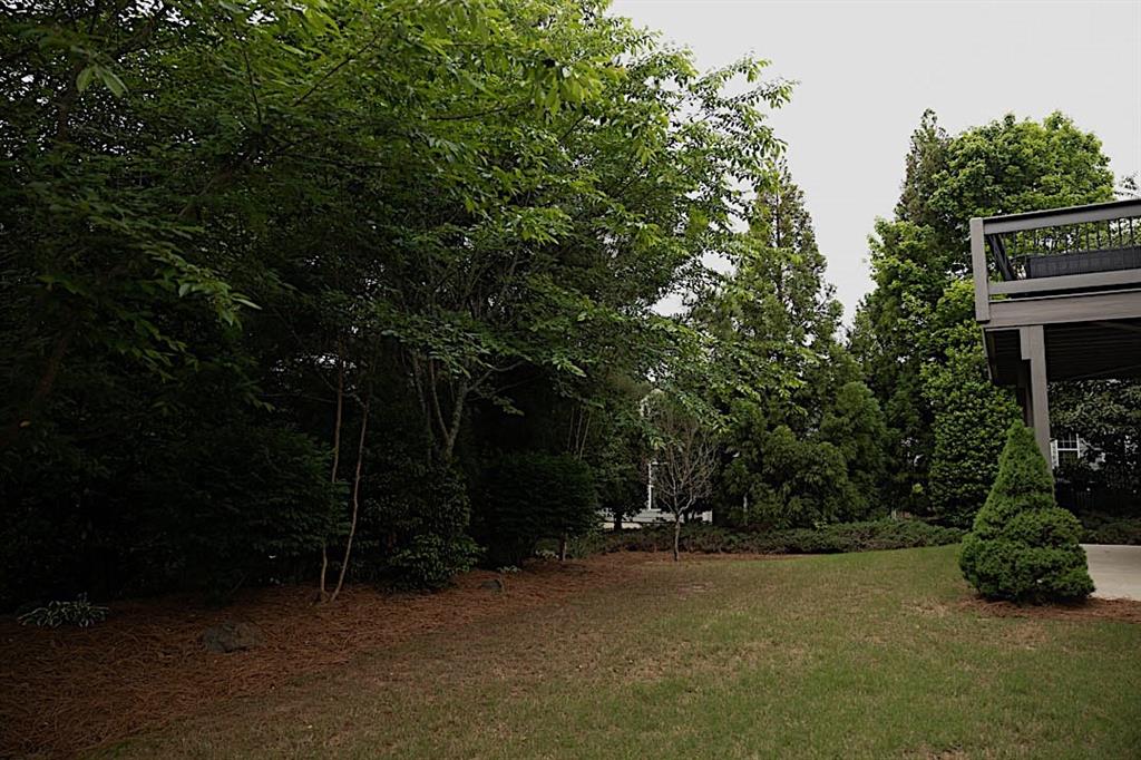 6614 Covered Bridge Way, Braselton, Georgia image 41