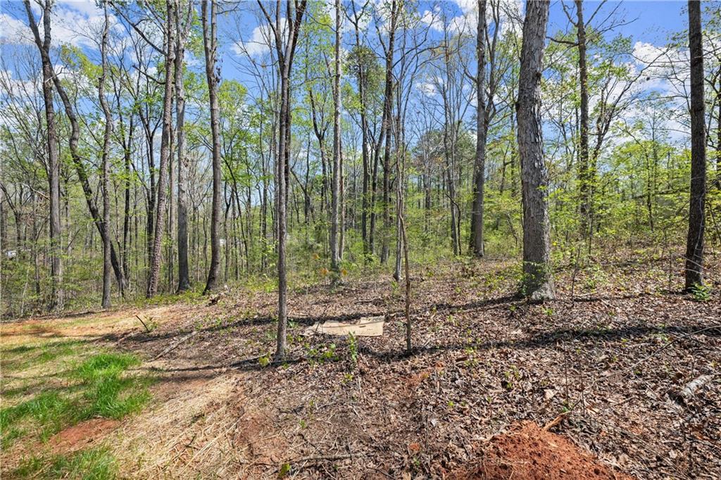 123 Lakeside Trail, Toccoa, Georgia image 13