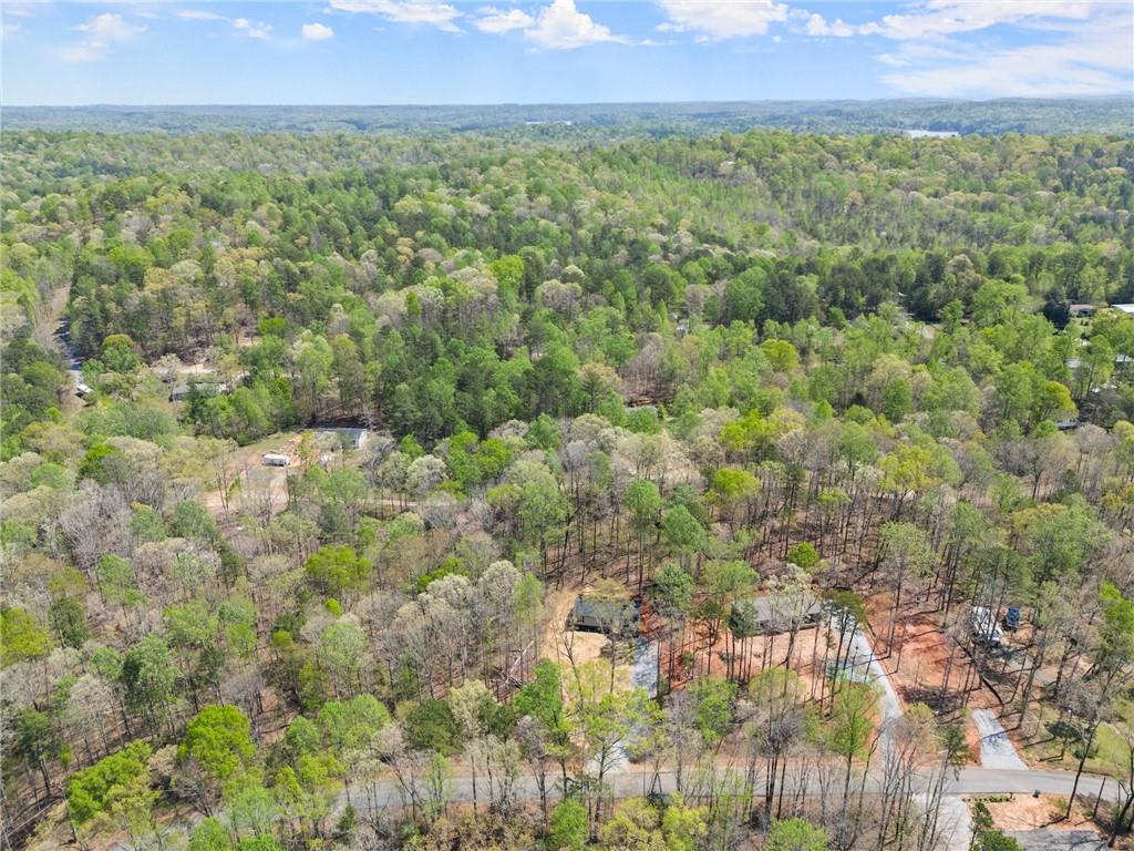 123 Lakeside Trail, Toccoa, Georgia image 39