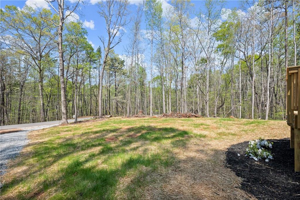 123 Lakeside Trail, Toccoa, Georgia image 4