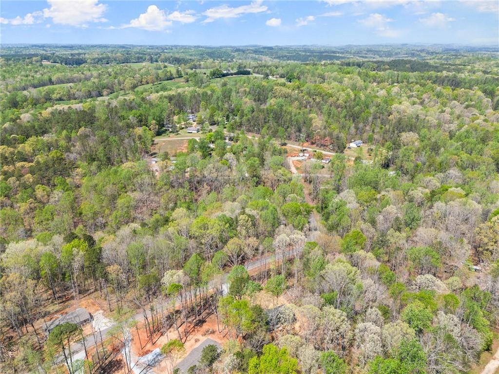 123 Lakeside Trail, Toccoa, Georgia image 45