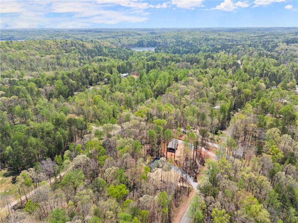 123 Lakeside Trail, Toccoa, Georgia image 41