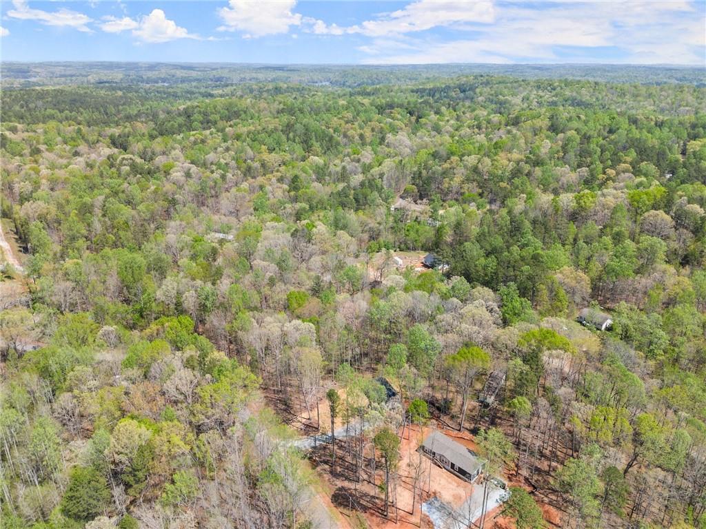 123 Lakeside Trail, Toccoa, Georgia image 40